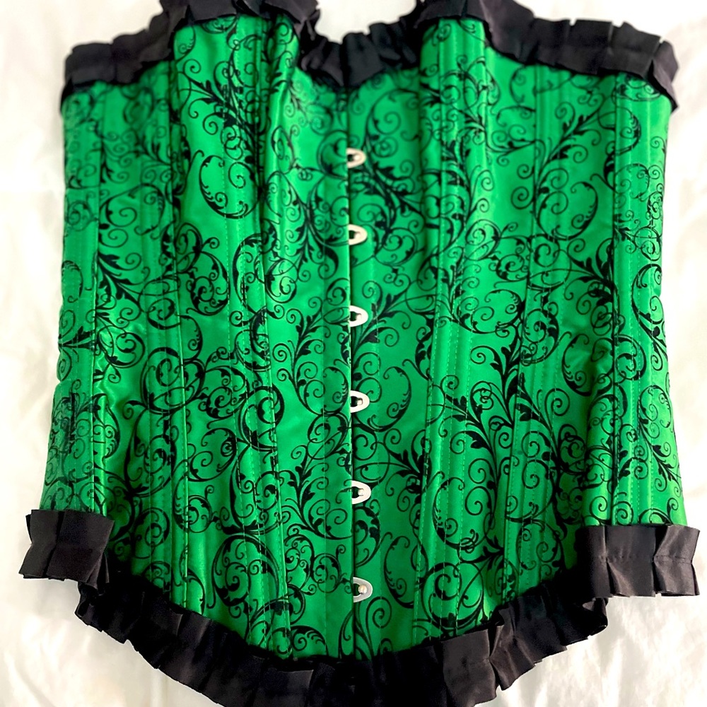 Gorgeous matte satin corset with paisley detailing